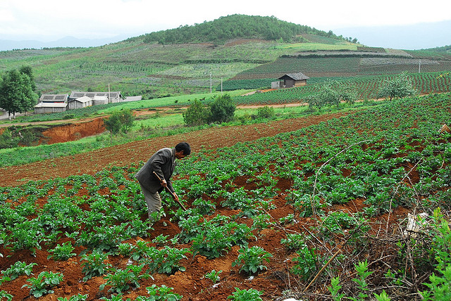 アリババが中国国内、6億人もの”農民市場”の開拓を開始