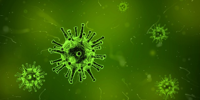 豪・NSW州で5年ぶりに最悪のロタウイルス蔓延