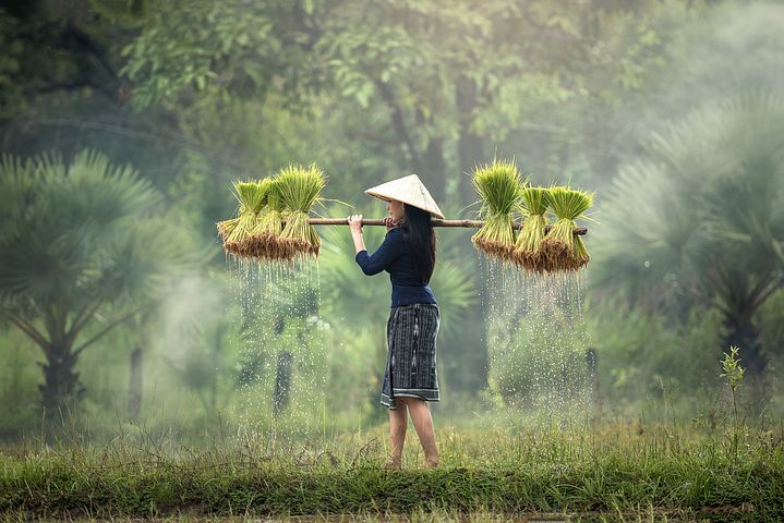 ベトナム：「一村一品」運動でグローバルなつながりを追求