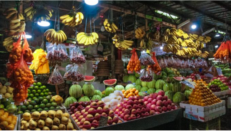 フィリピン：バナナのマイナー品種を世界へ、輸出に注力