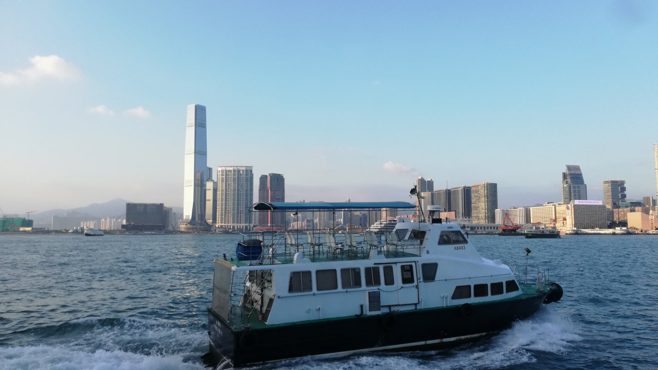 香港：ボートで犬猫約４０匹の密輸を摘発