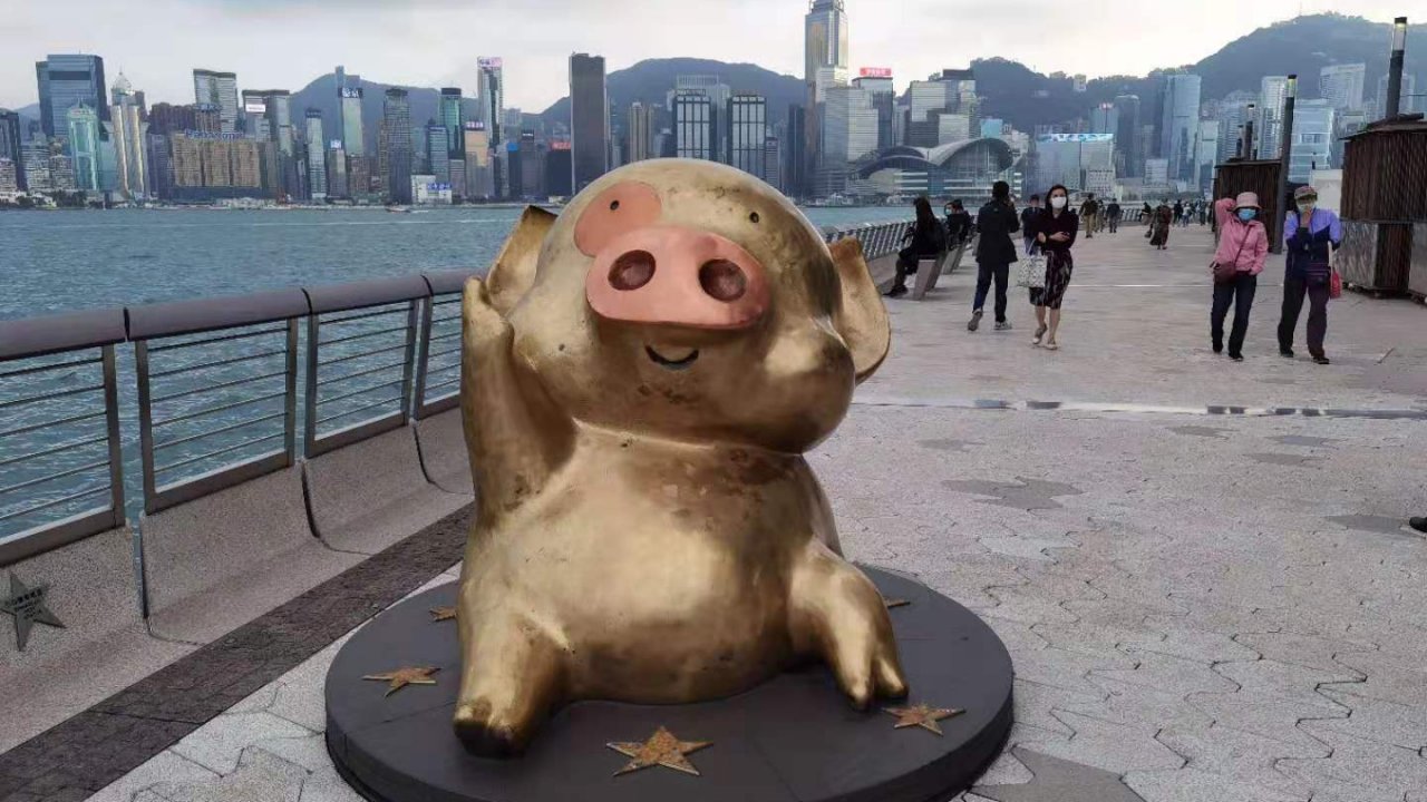 香港：１月の観光統計、来港者数６２％増