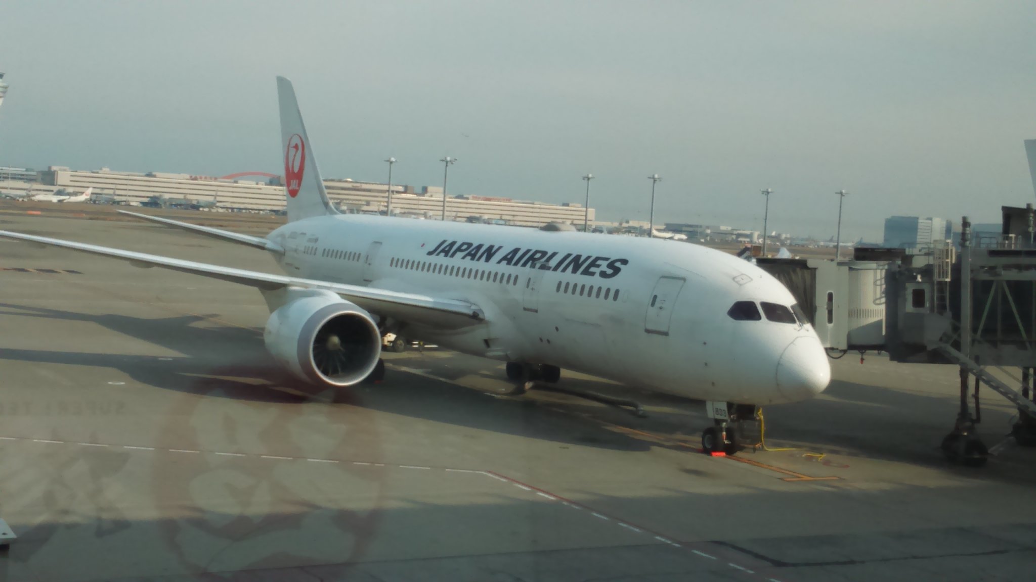 香港：日本航空の東京便が乗り入れ禁止